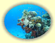 IMG_2007_05_27 18_29_49 * 2272 x 1704 * (552KB)